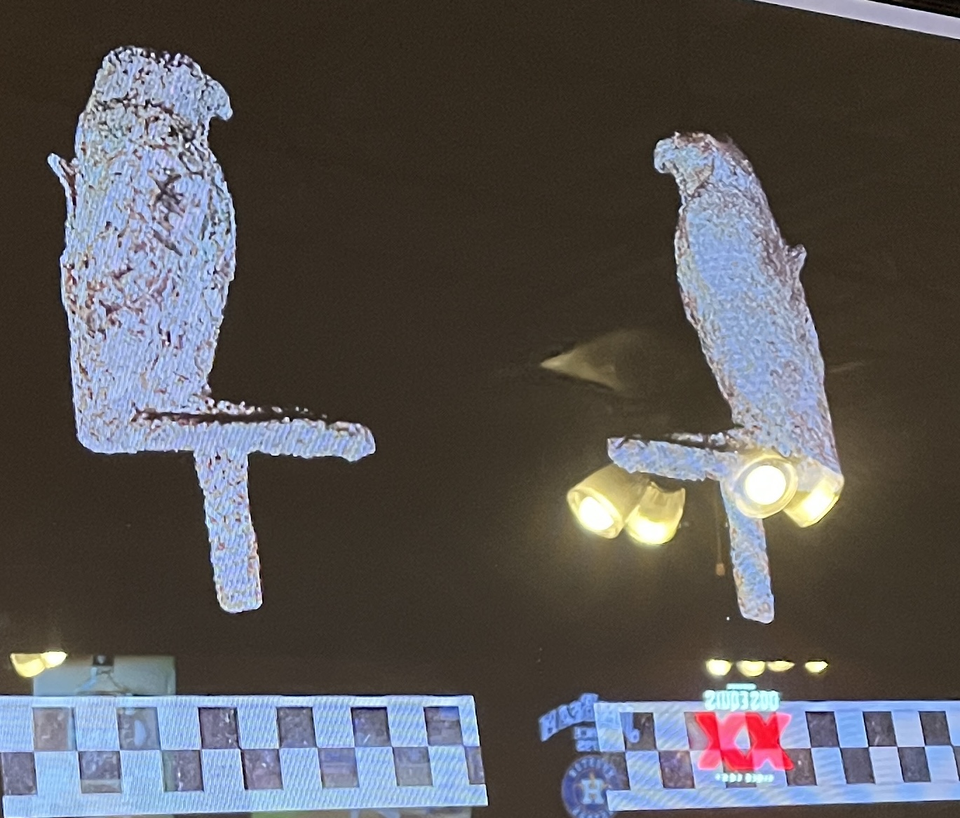 Bird statue found during the excavation