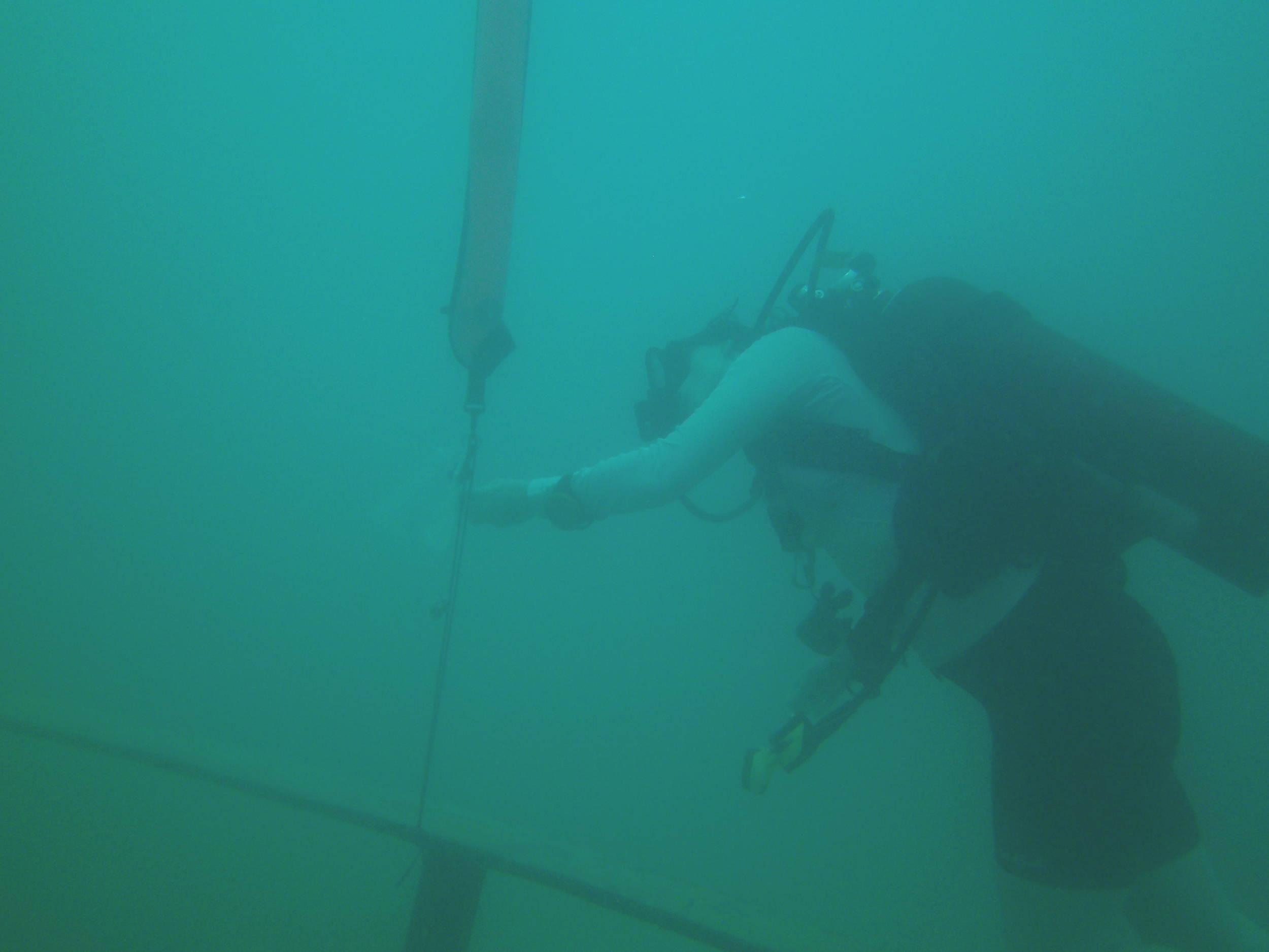 birddog getting the next coordinates