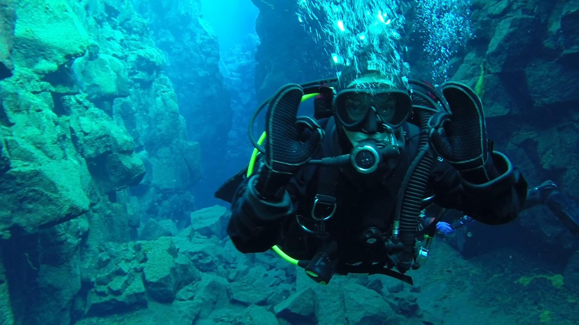 Birddog is feeling more than just OK