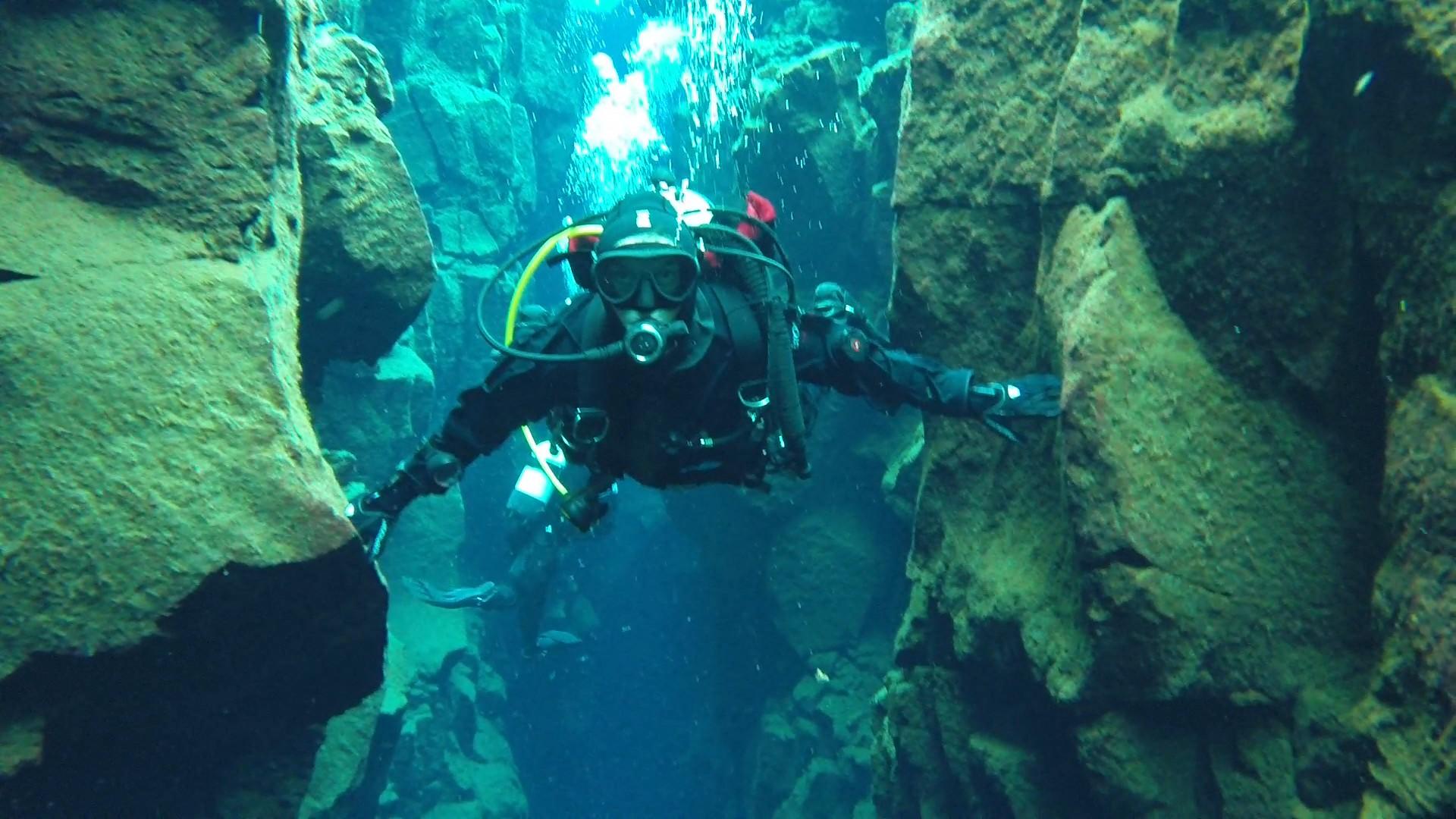 Birddog keeps the continents in touch