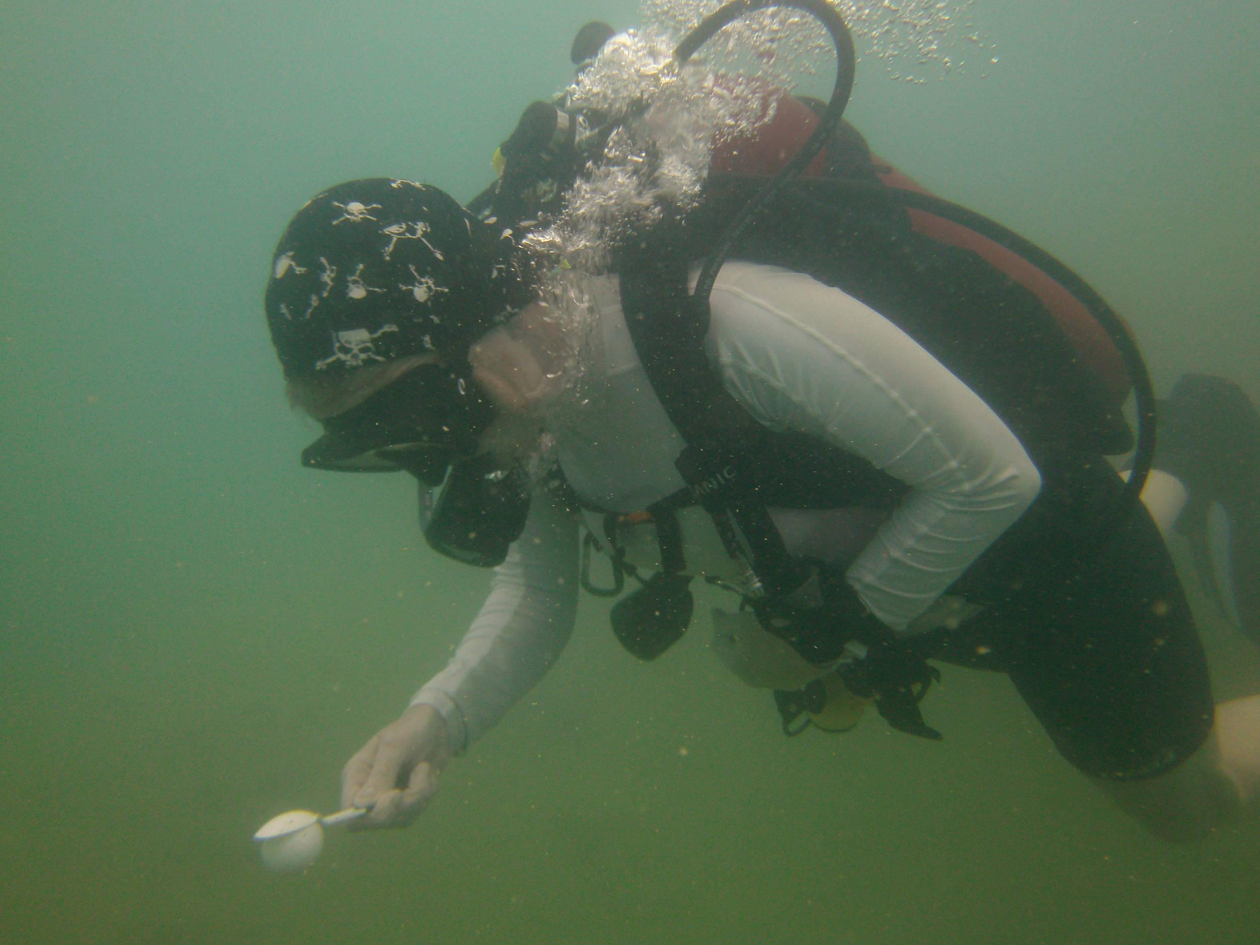 birddog showing her ping pong race skillz