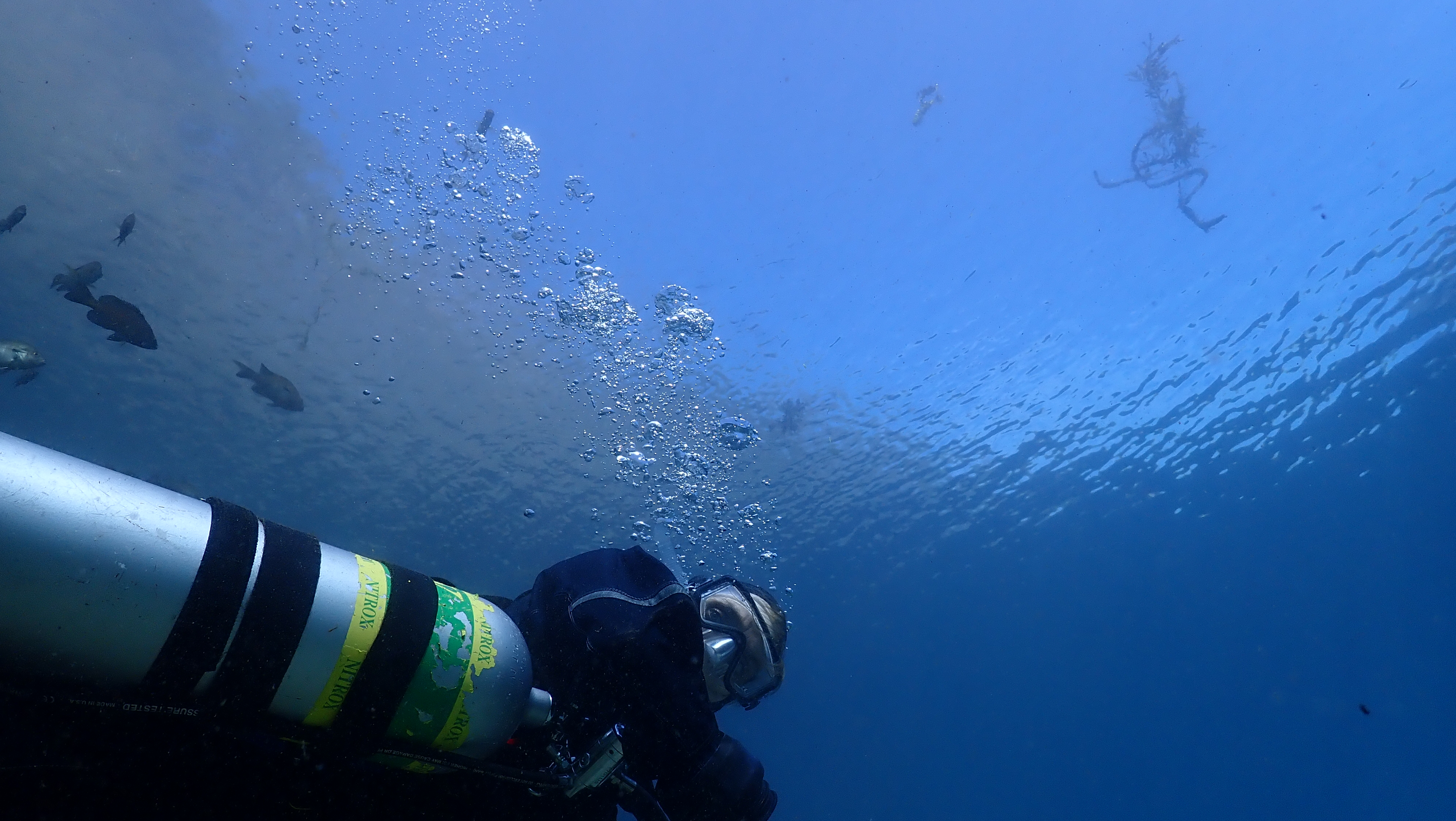 Birddog Spring Lake Jan 20