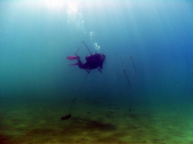 Blue Lagoon - April 2010