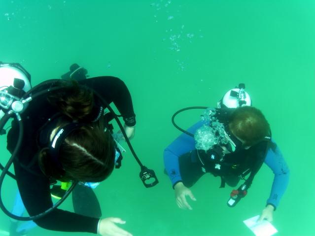 Blue Lagoon - April 2010