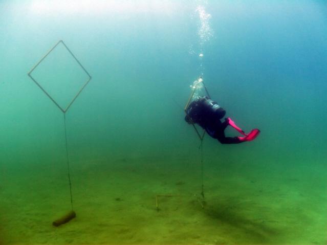 Blue Lagoon - April 2010