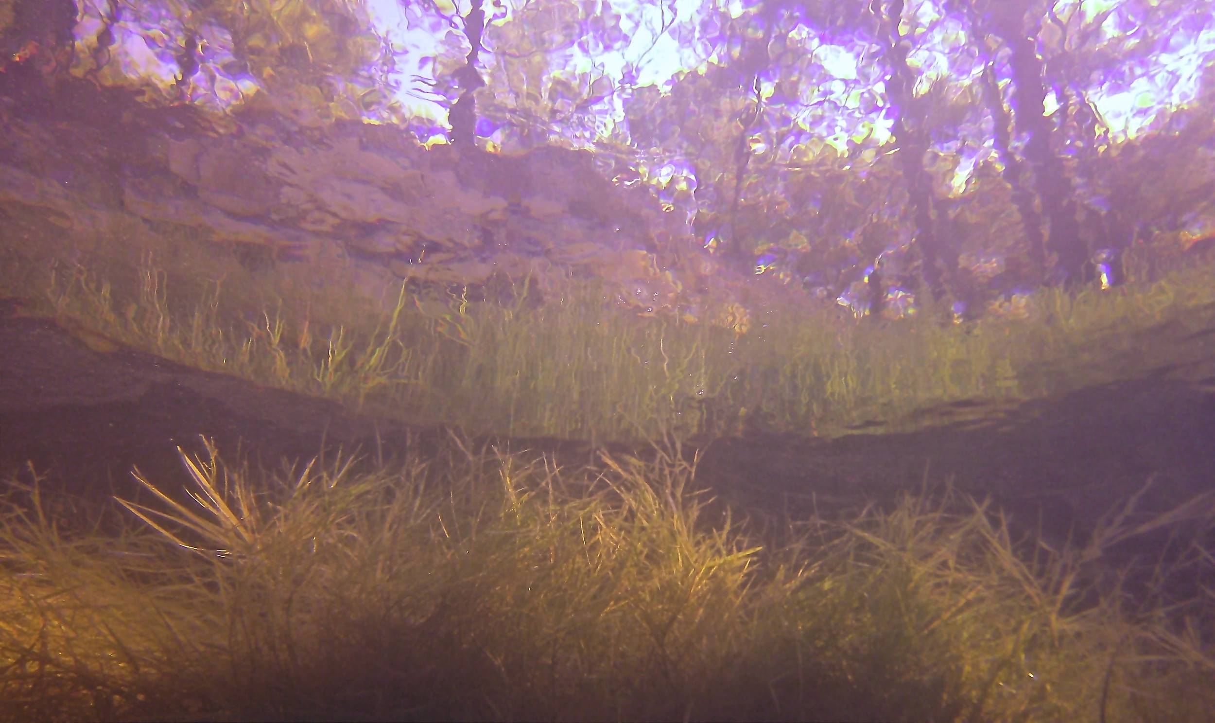 Blue Lagoon Sept 2012