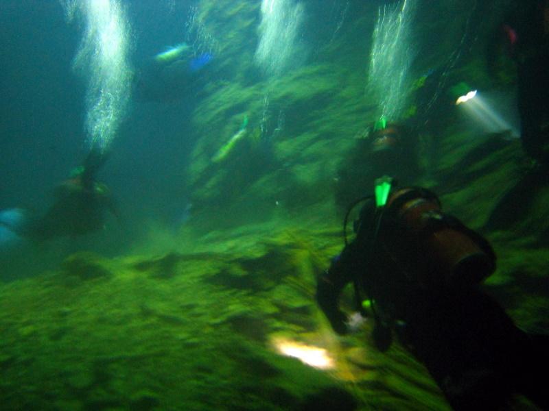 Bonne Terre Psychedelic