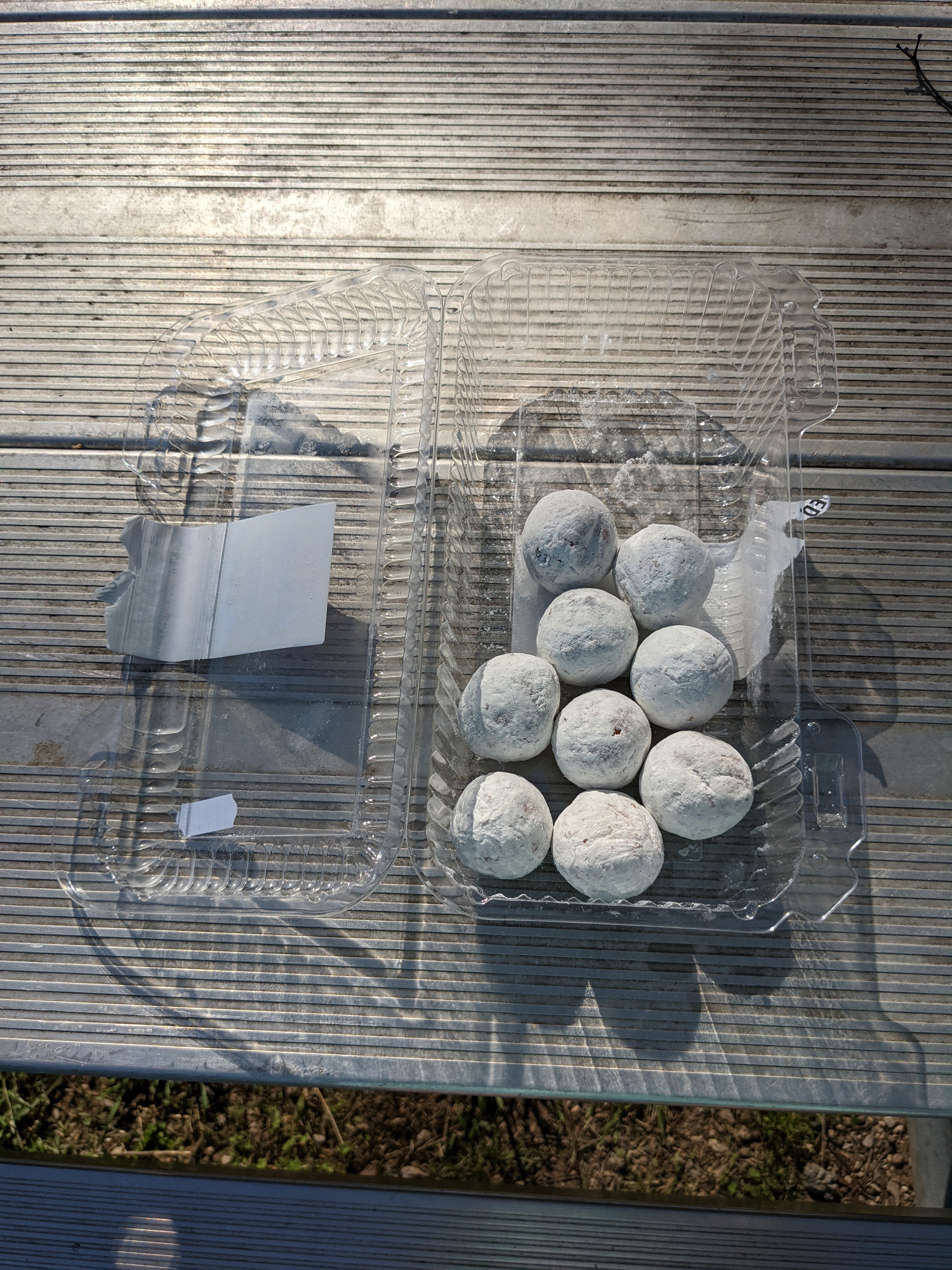 Breakfast of Champions