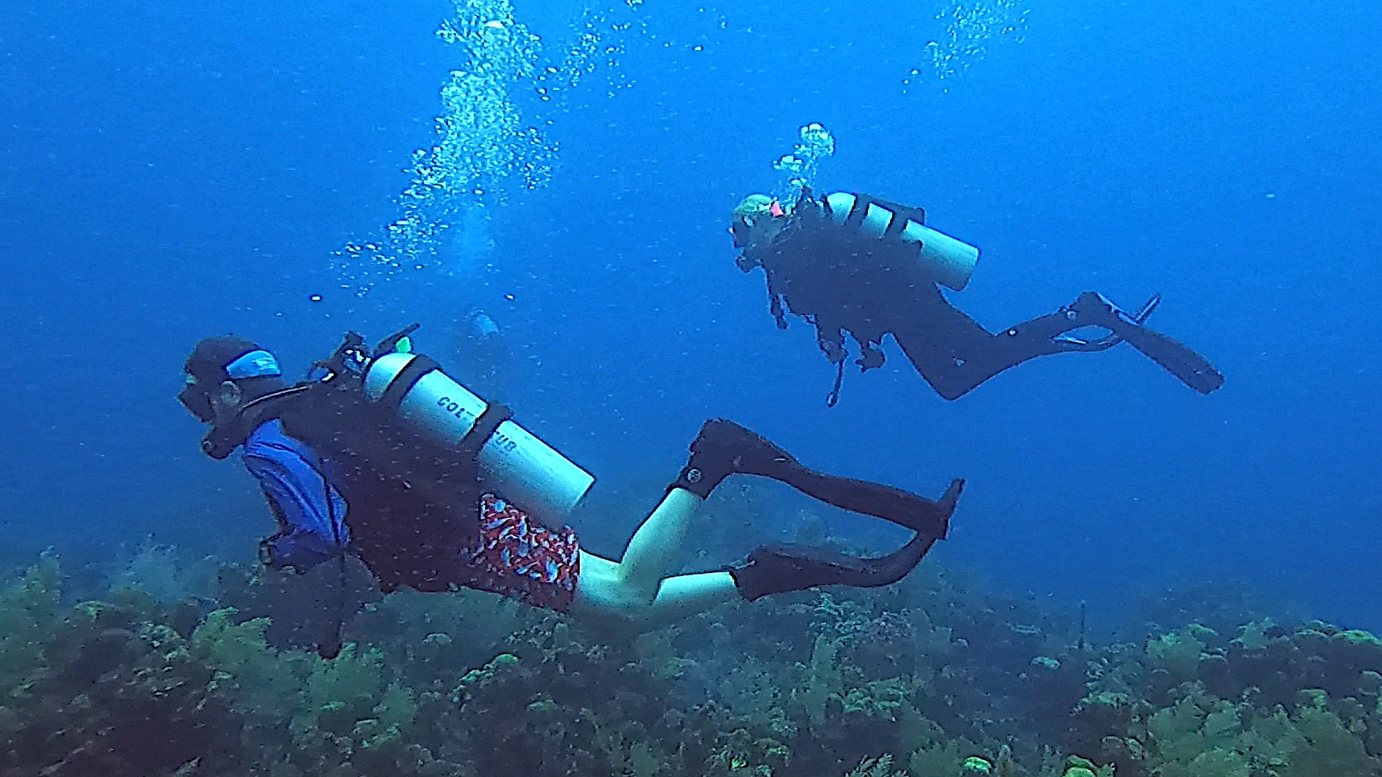 Briannewman and Polaris