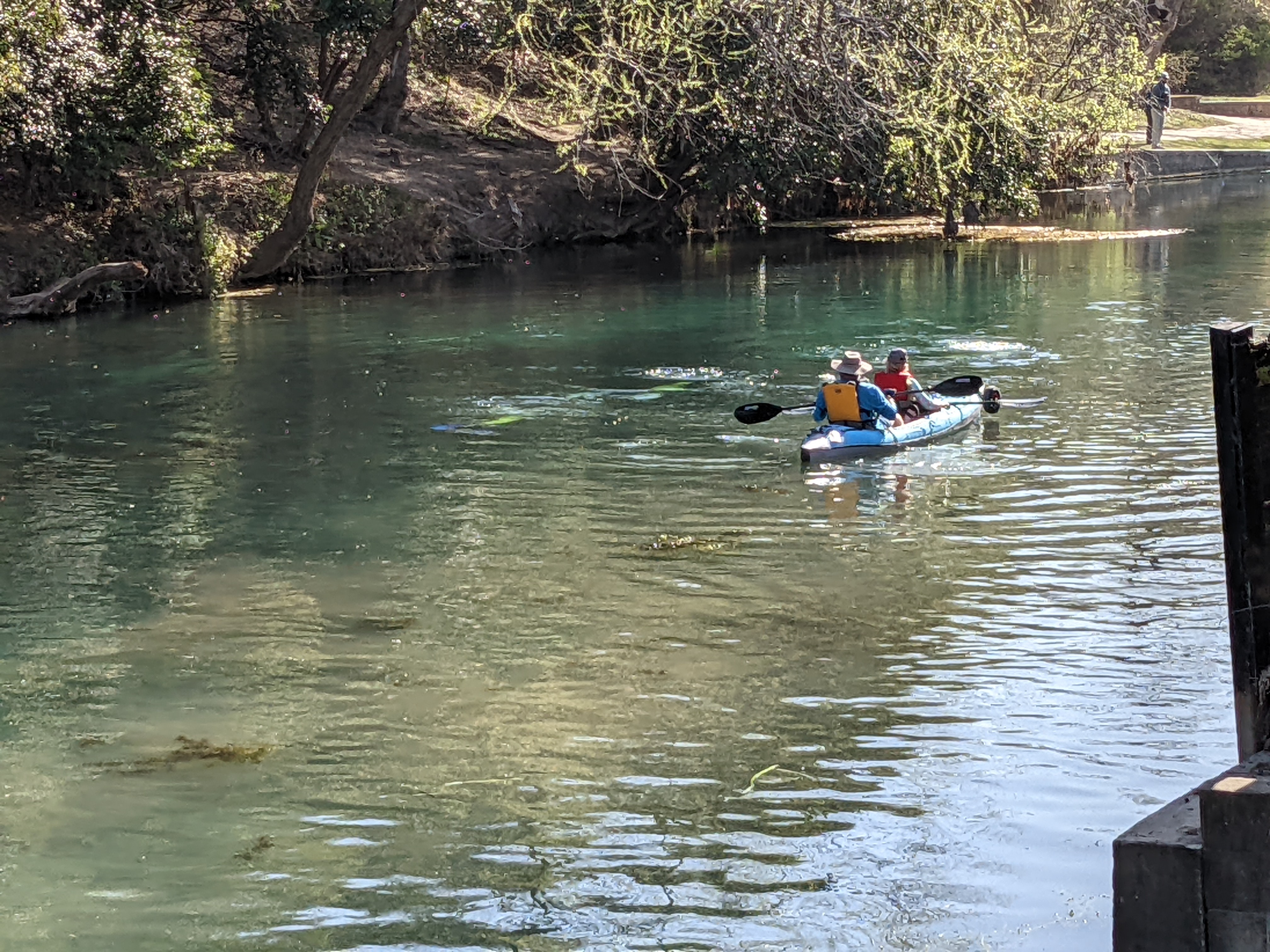 Bringing up the rear