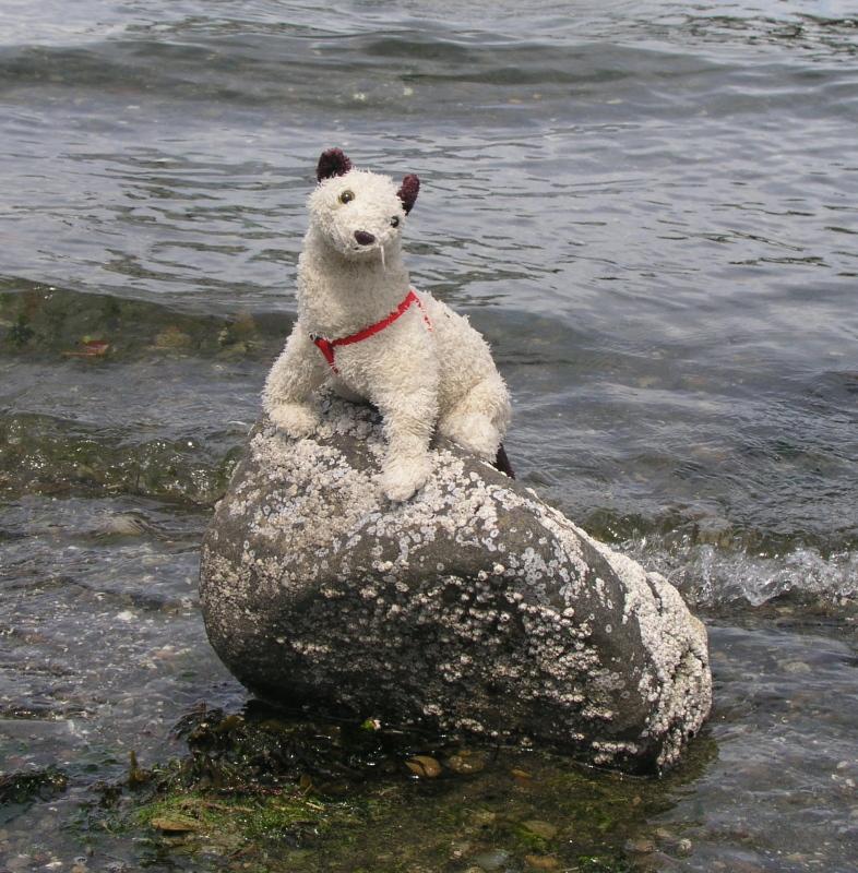 Brrrr water's cold - Cold_H2O