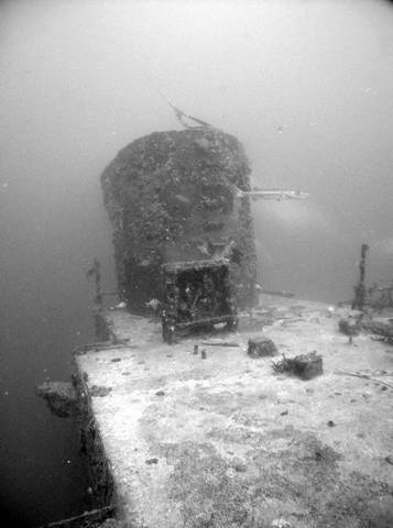 Buccanneer Barb from the Dive Pirates