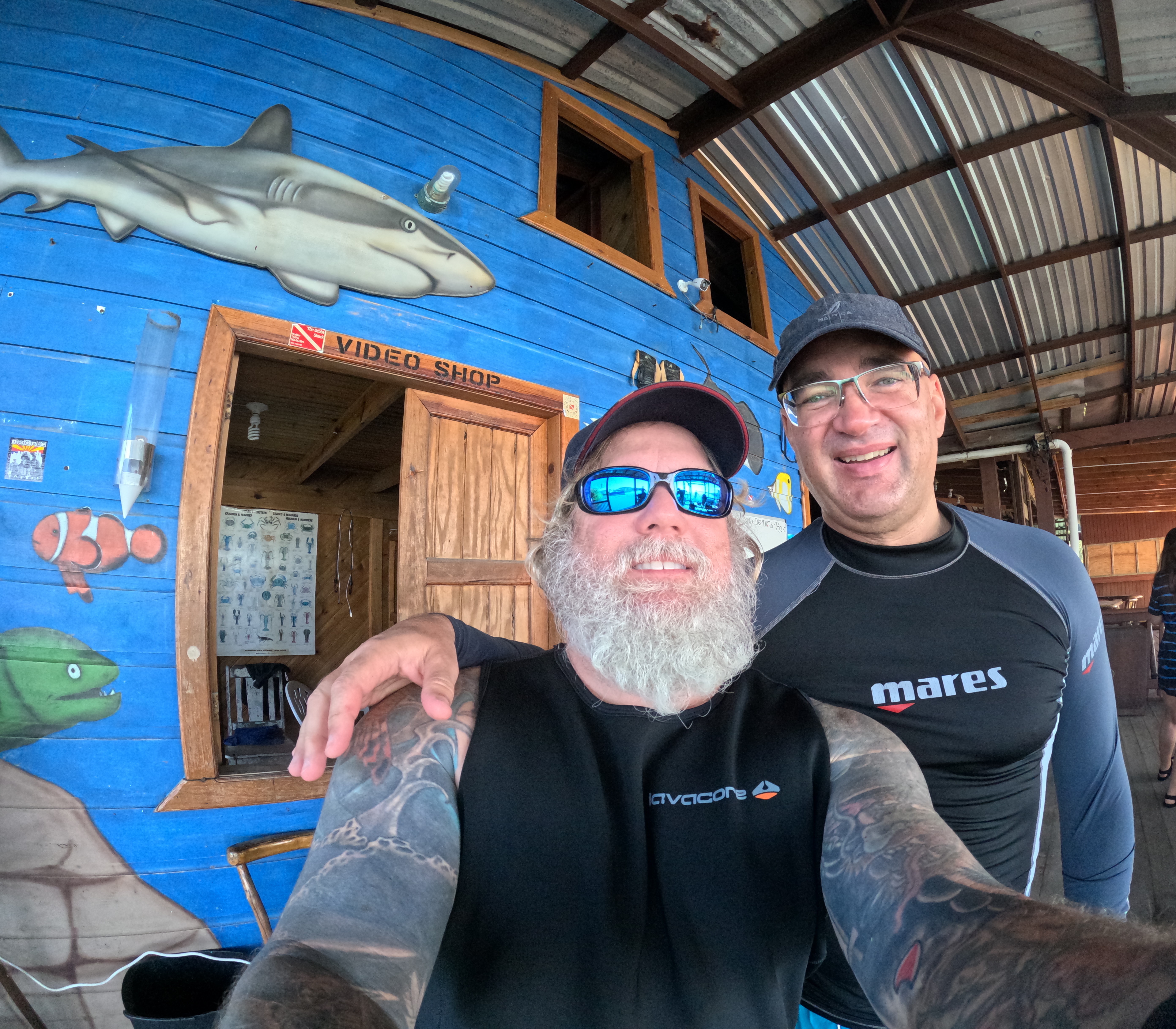 Buddies about to dive with SHARKS