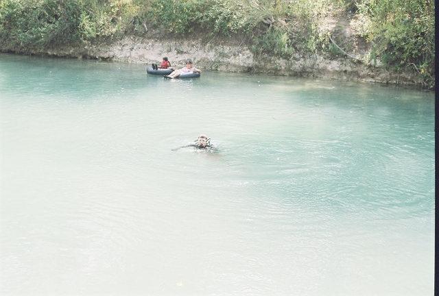 Bunny in the Headlights