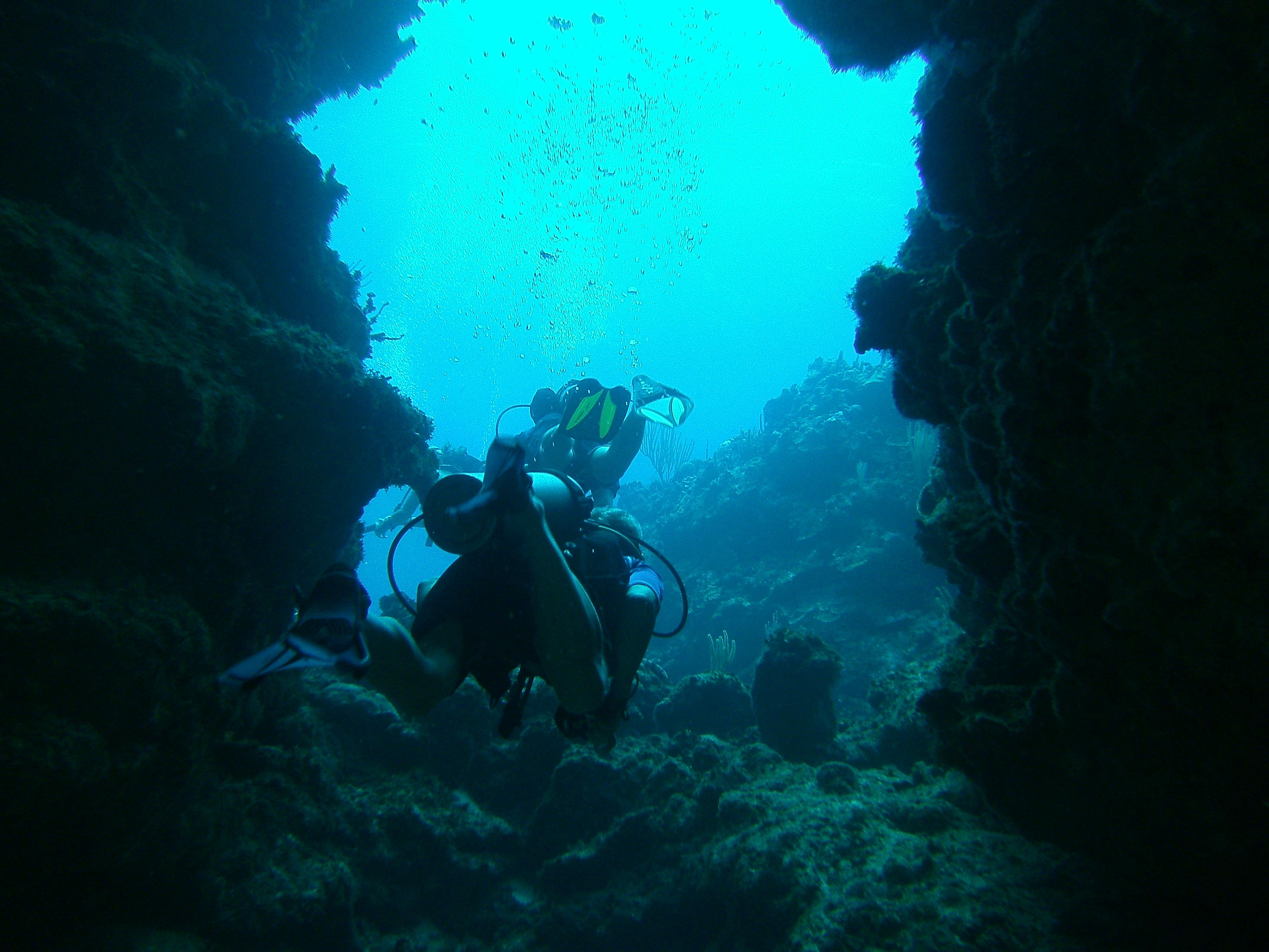 Cajun Diver - Grand Cayman
