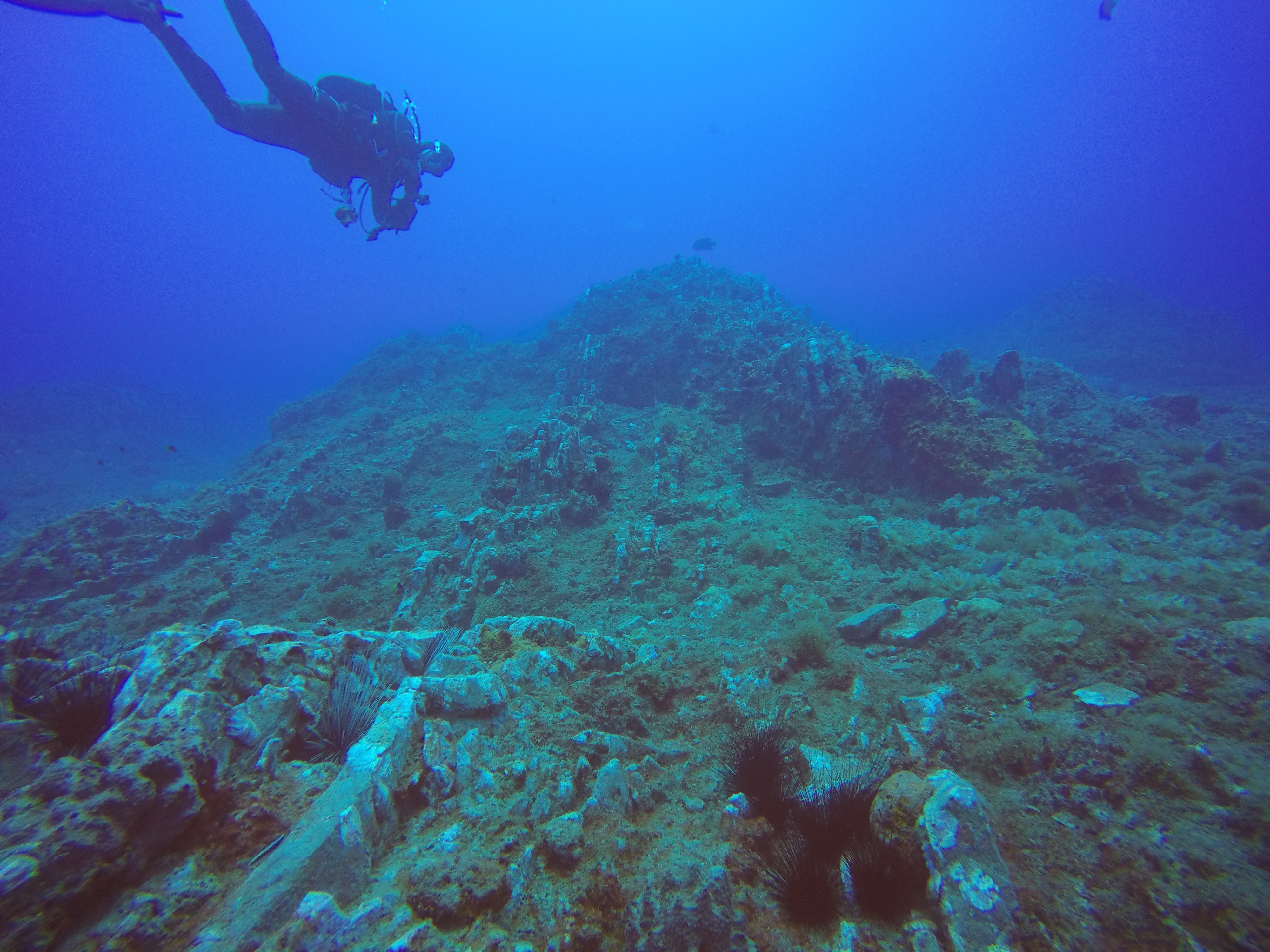 Cajun Diver on Stetson.JPG
