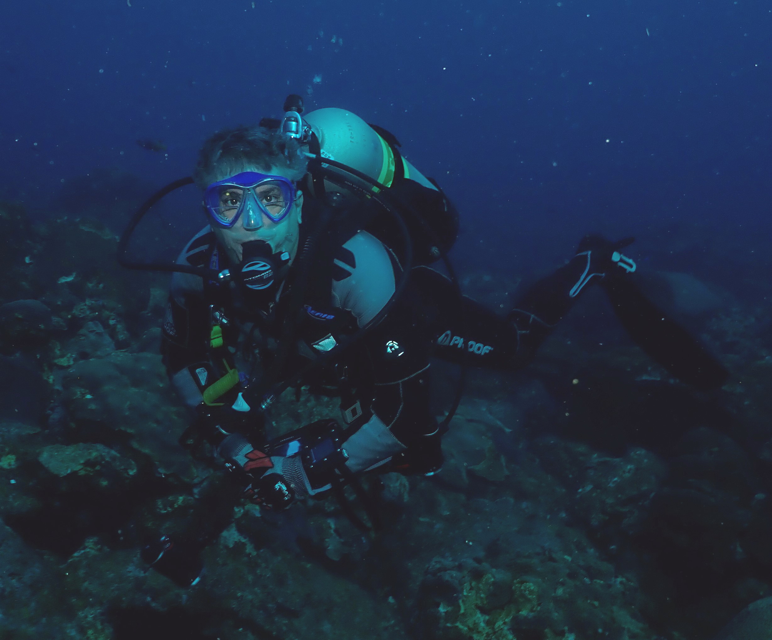Cajun Diver