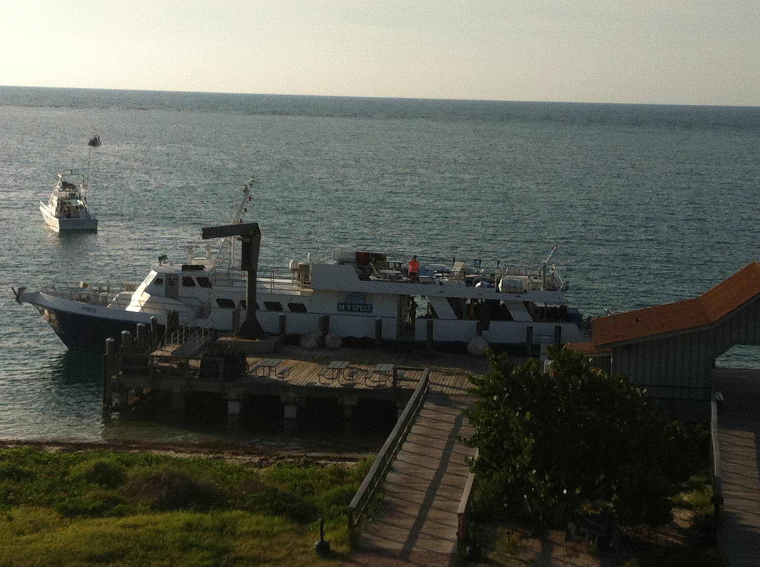 can you see shadow diver?