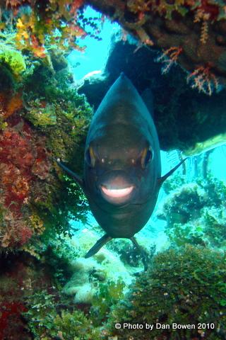 "Can't get enough of your love baby!"