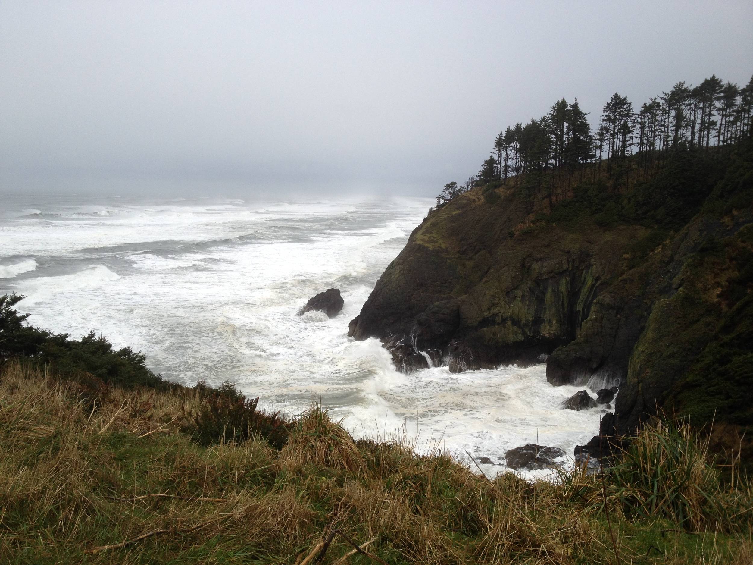 Cape Disappointment