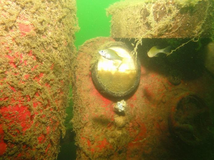 Caught in the headlamp