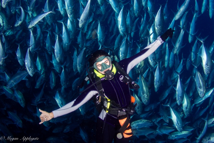 Celina and the Trevally Bait Ball