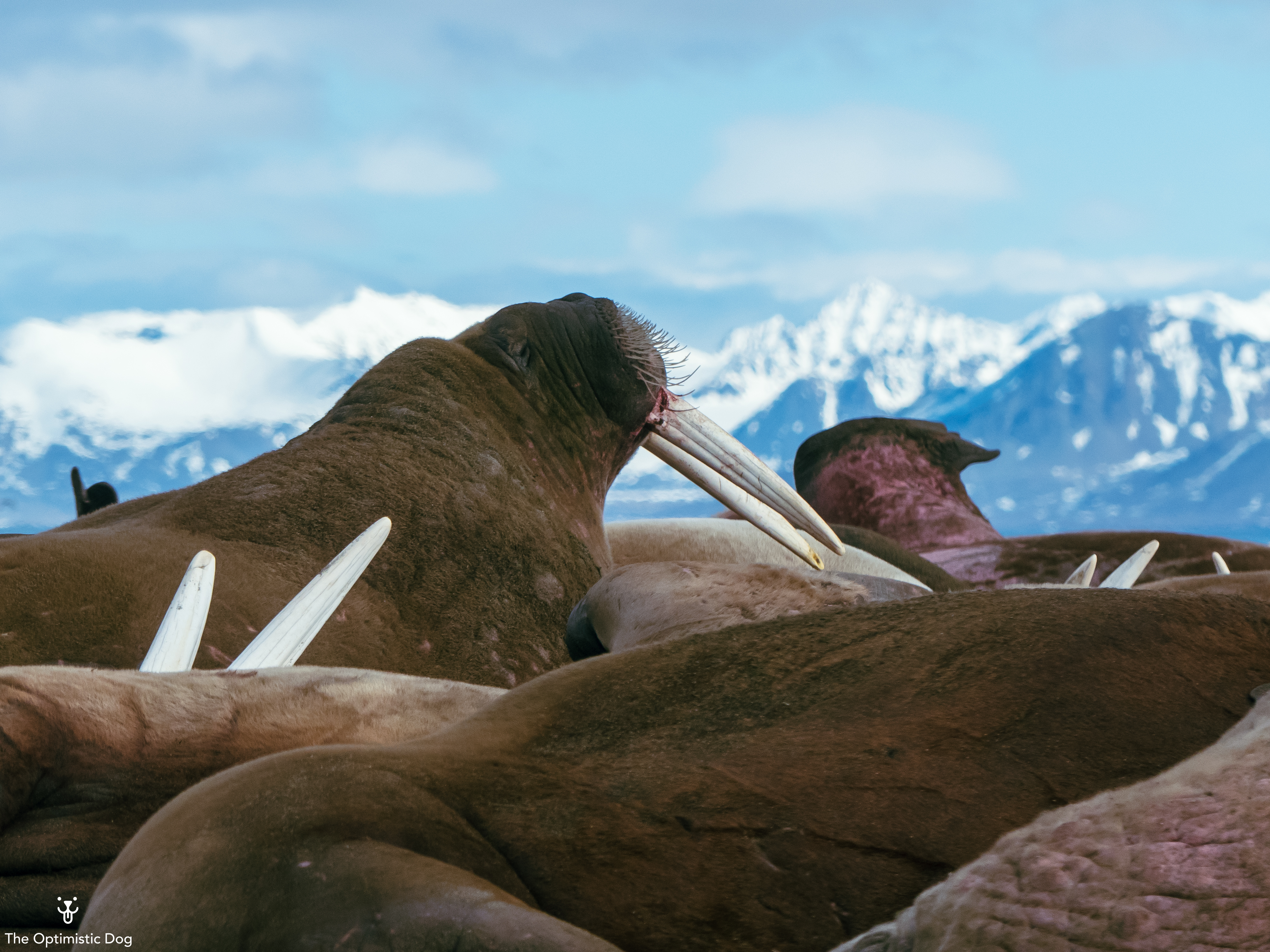 Checking Out The Scene-1