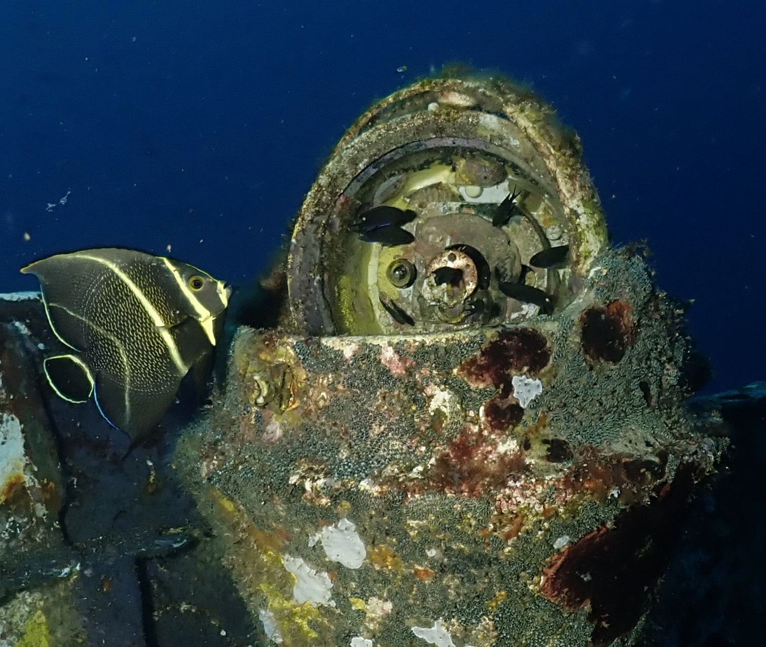 Checking the heading