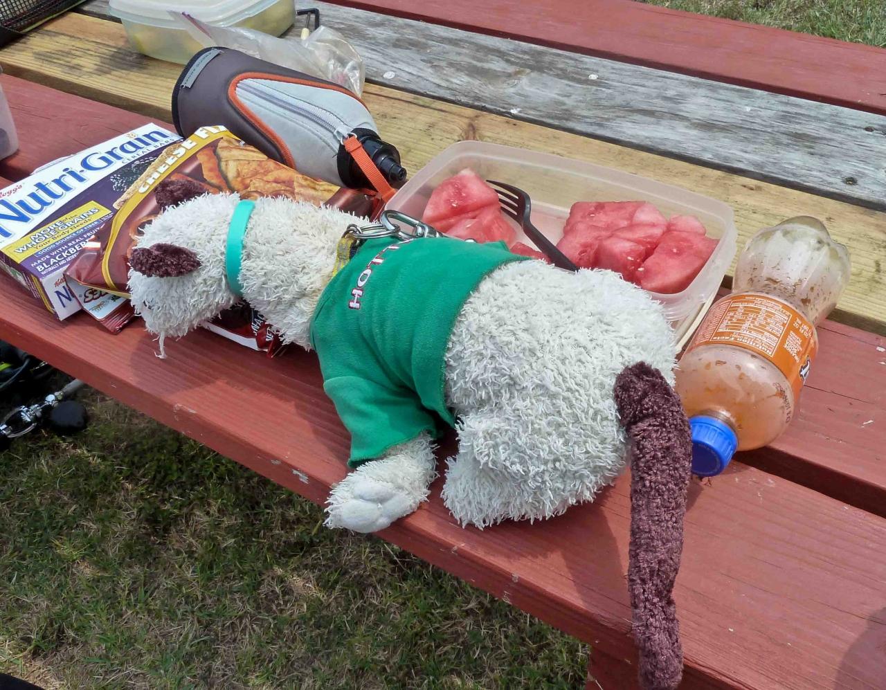 CHUM 288 Monthly Dive Event 4 30 2011