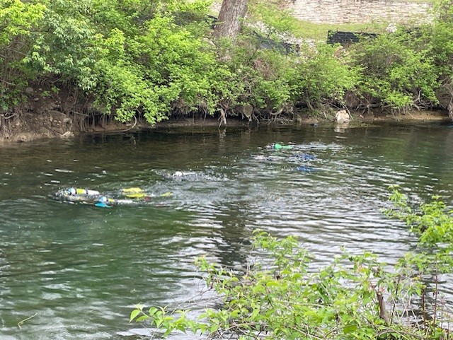 Chum Claims the Comal