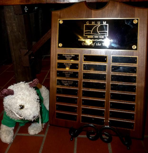 CHUM Holiday Parrrty