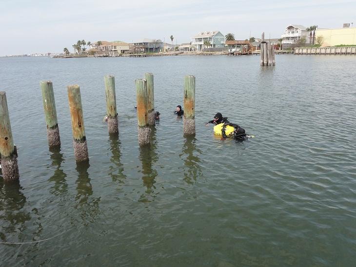 CHUM in the water