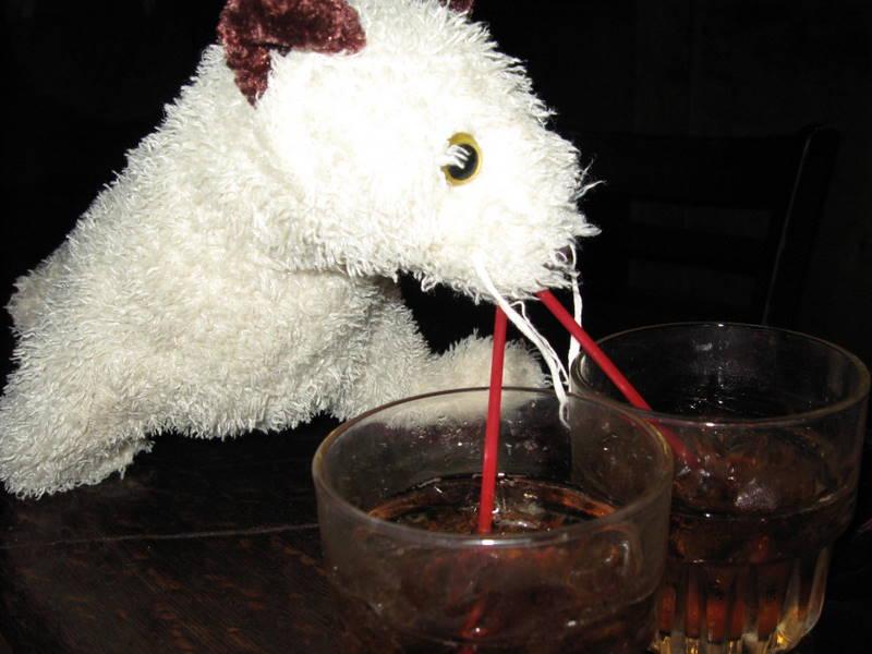 Chum Post-dive show happy hour