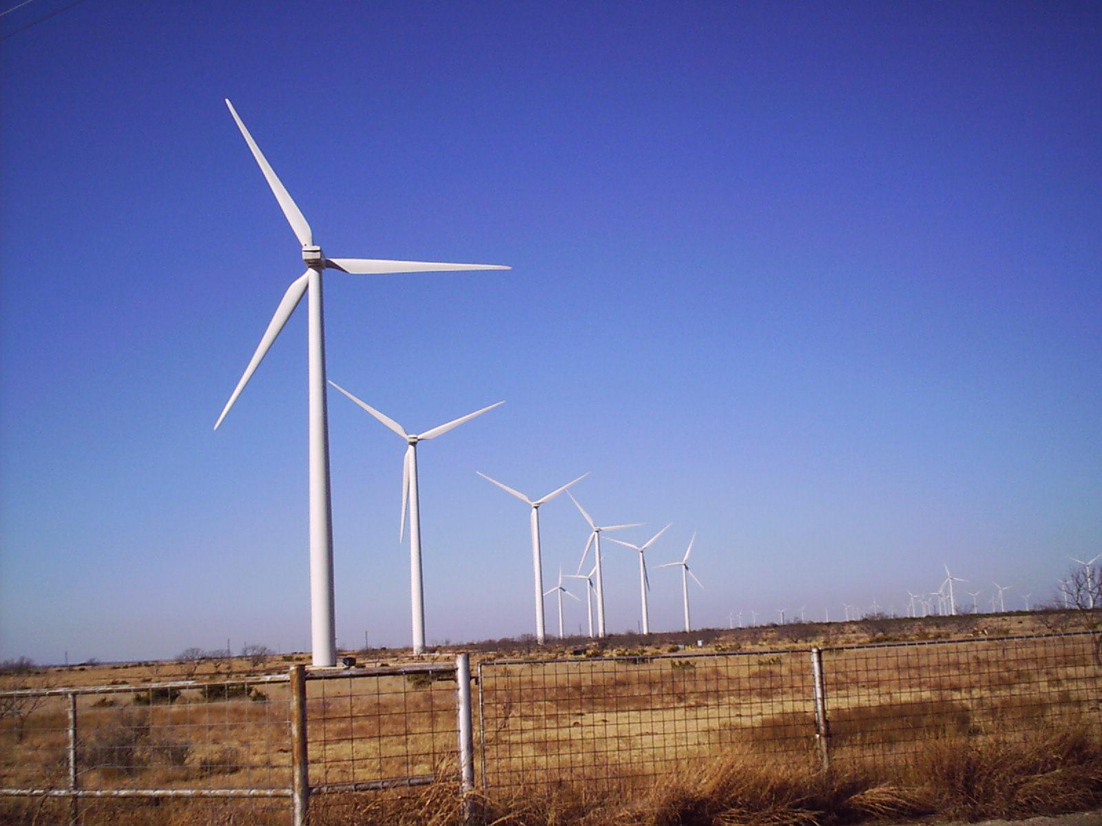 CHUM Team Dragon Boat