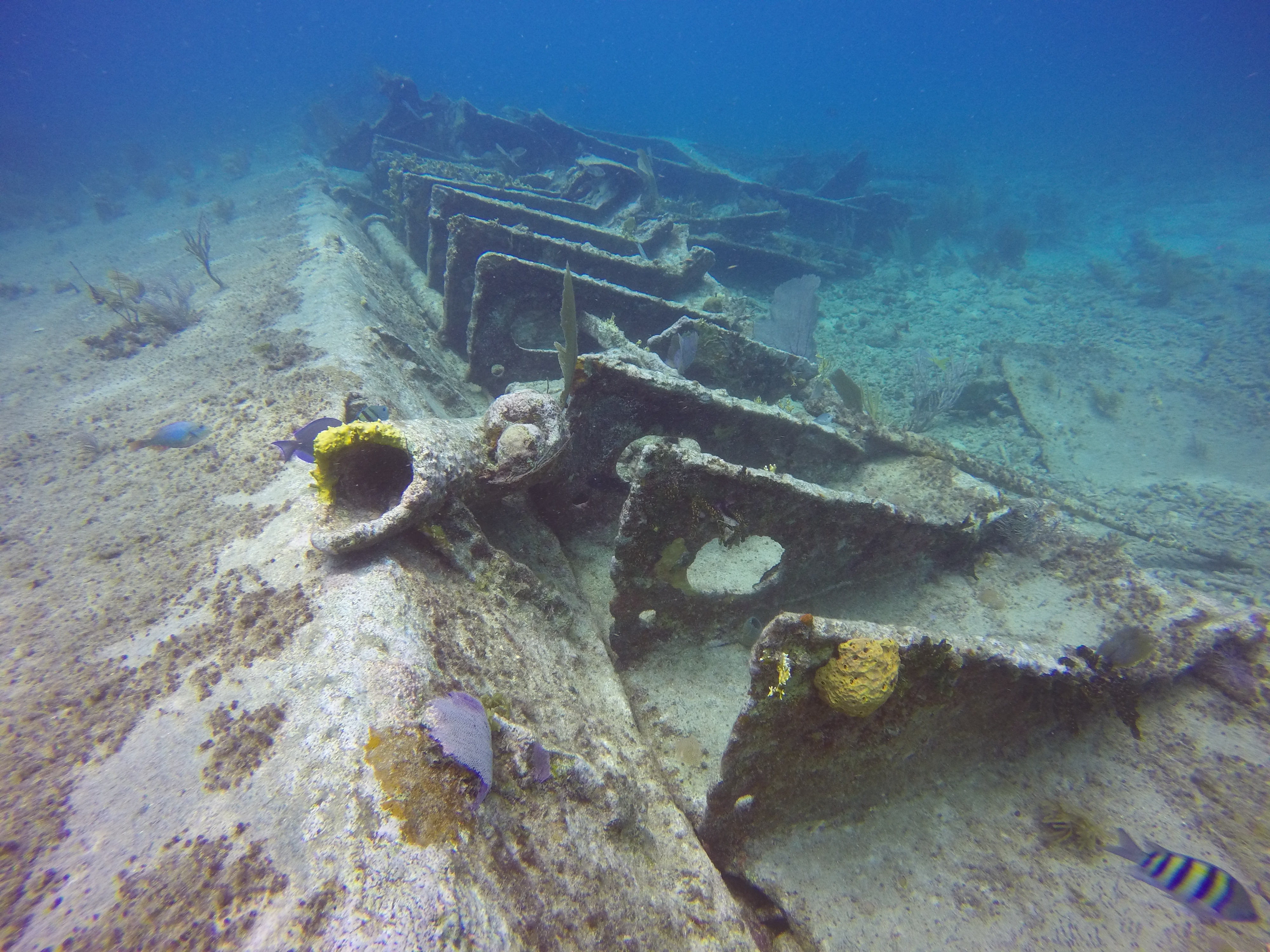 City of Washington.JPG