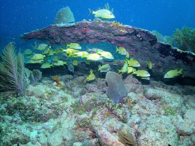 City of Washington wreck