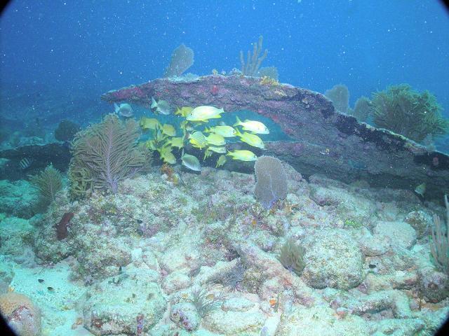 City of Washington wreck