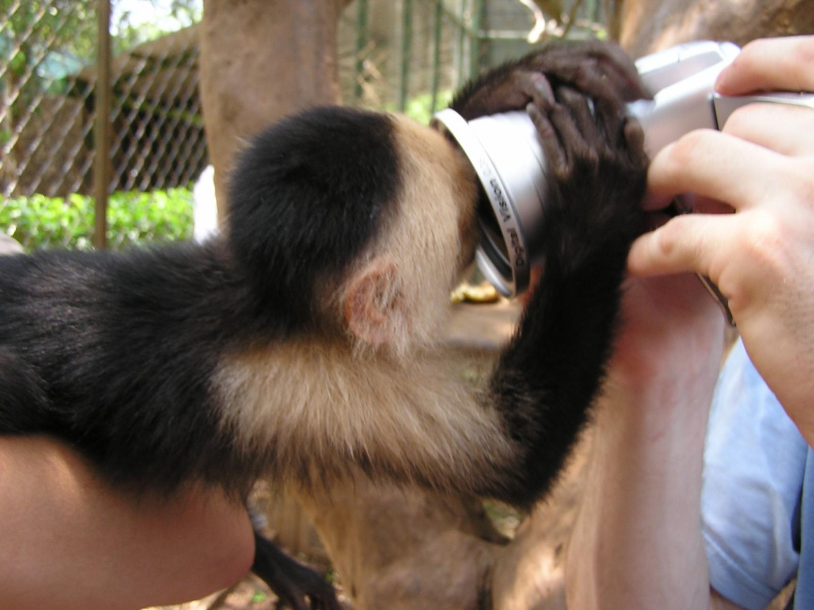 Closer shot of Who Dat?