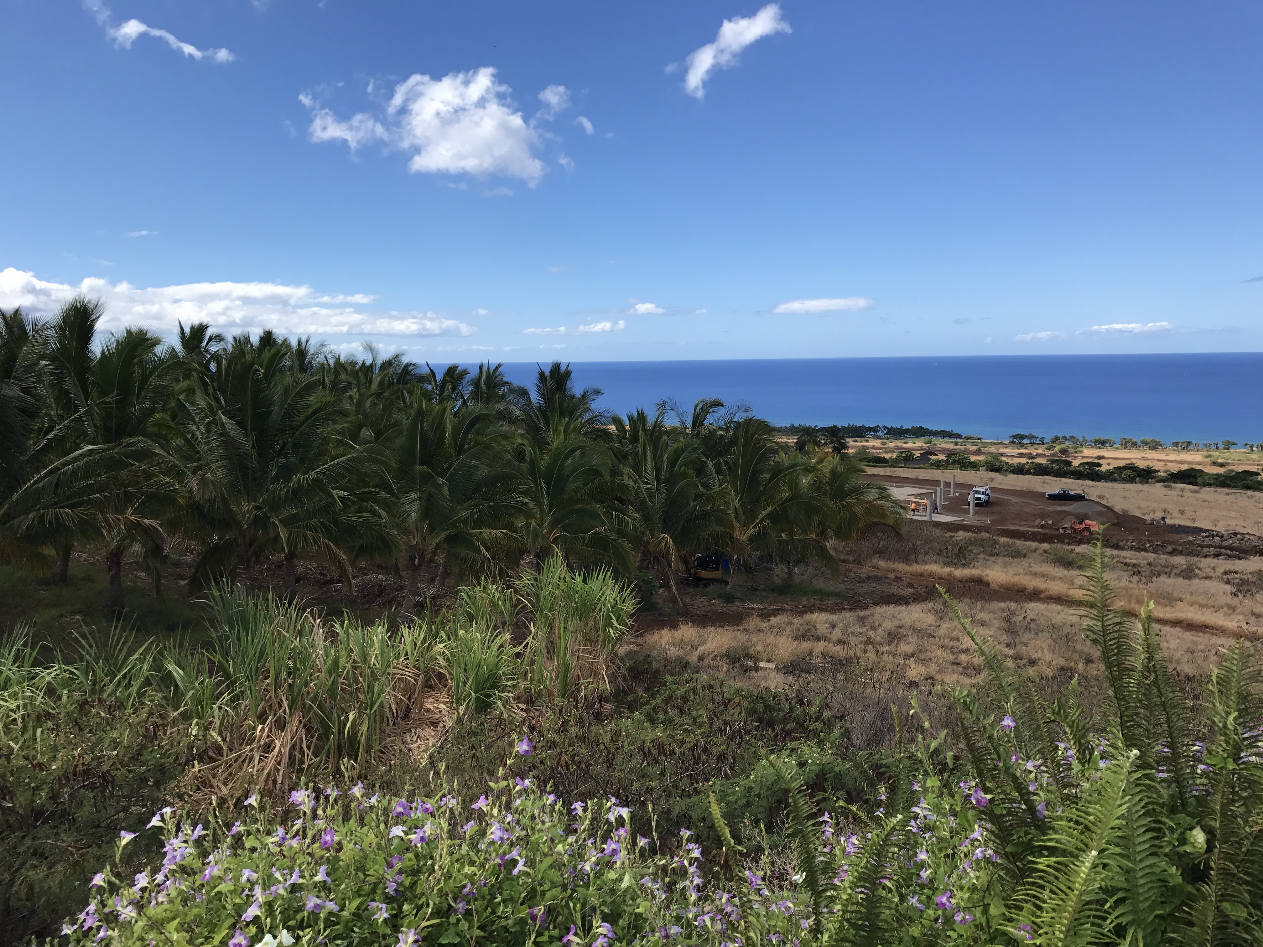 Coco view