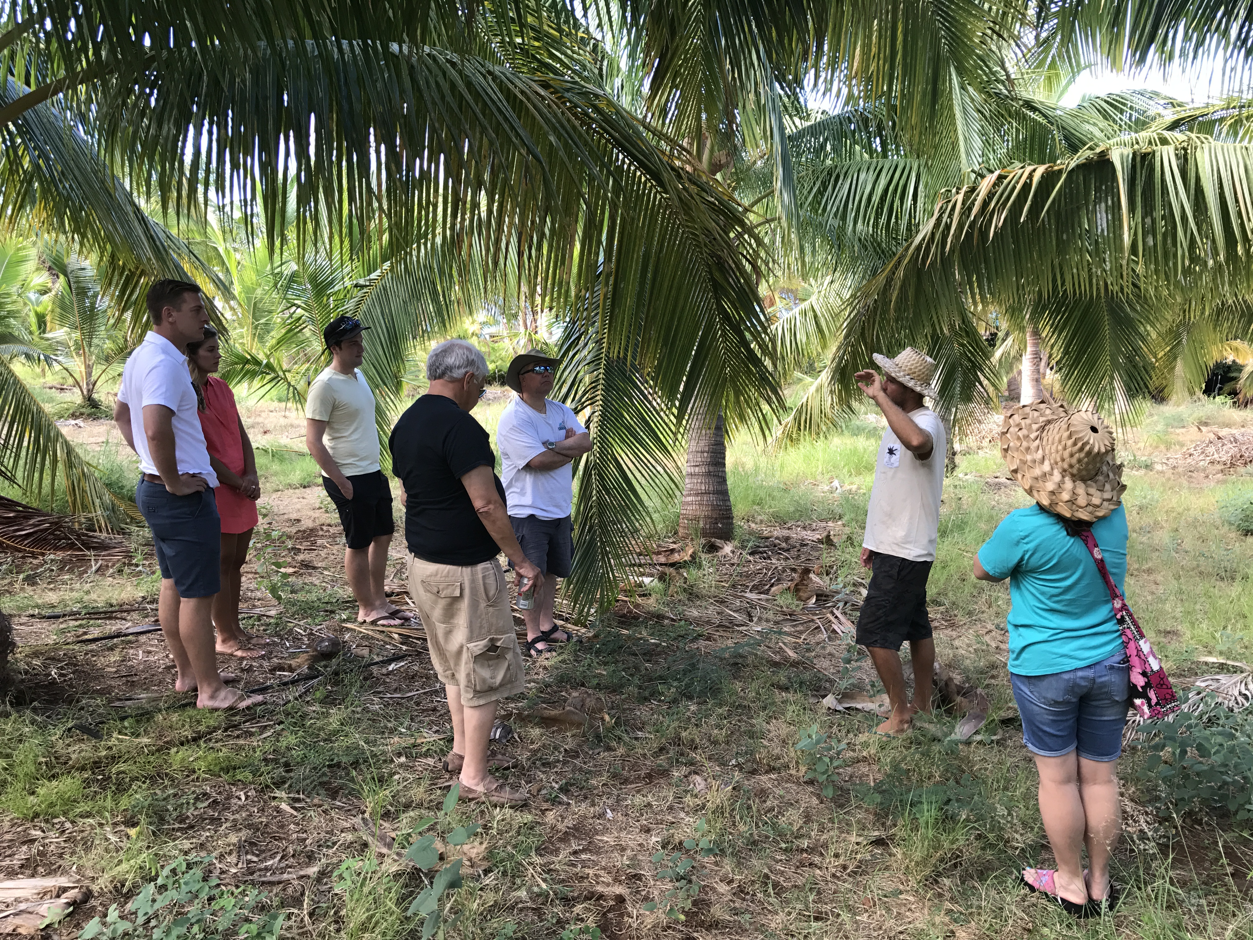 Coconut tour