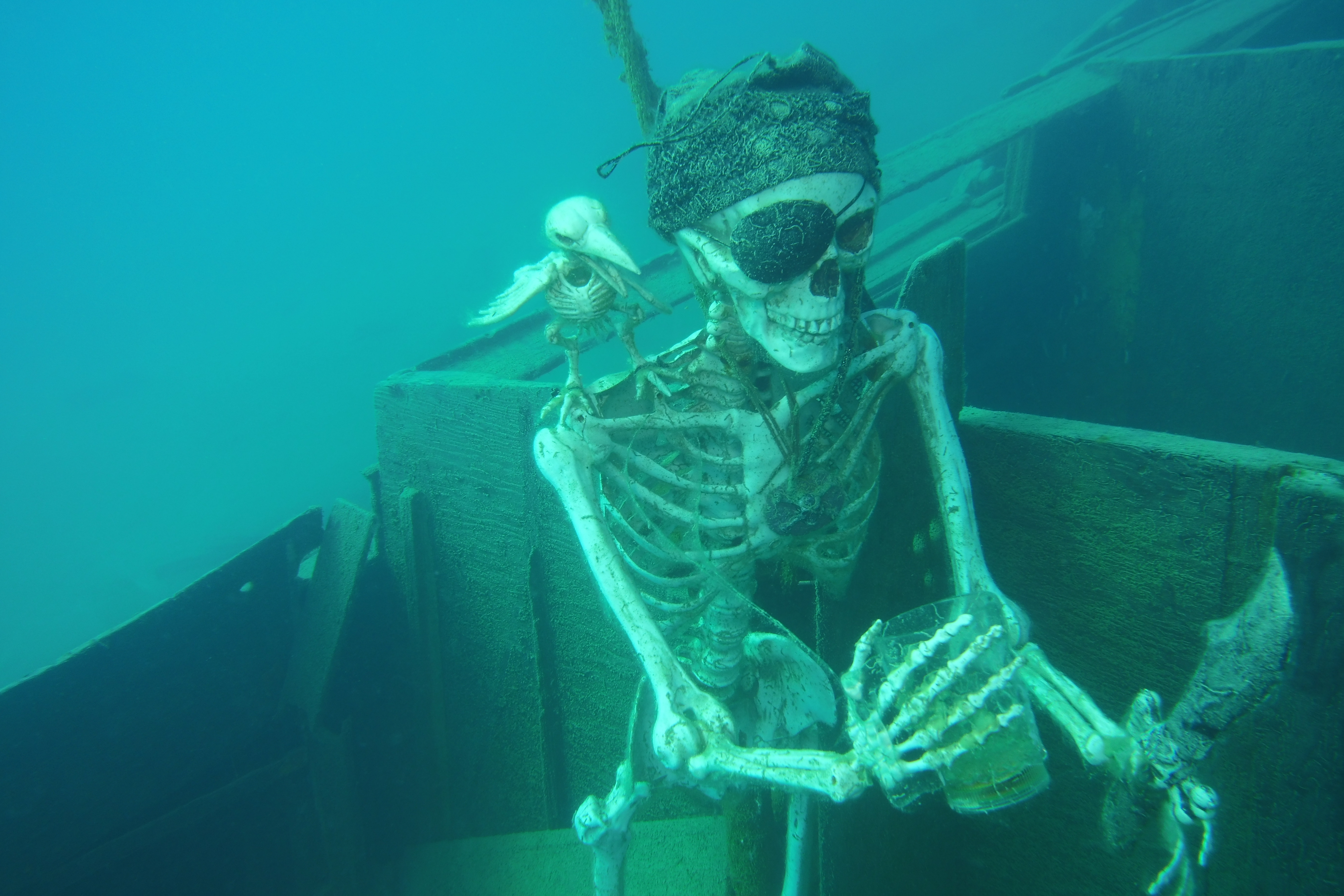 Cold pirate arrr
