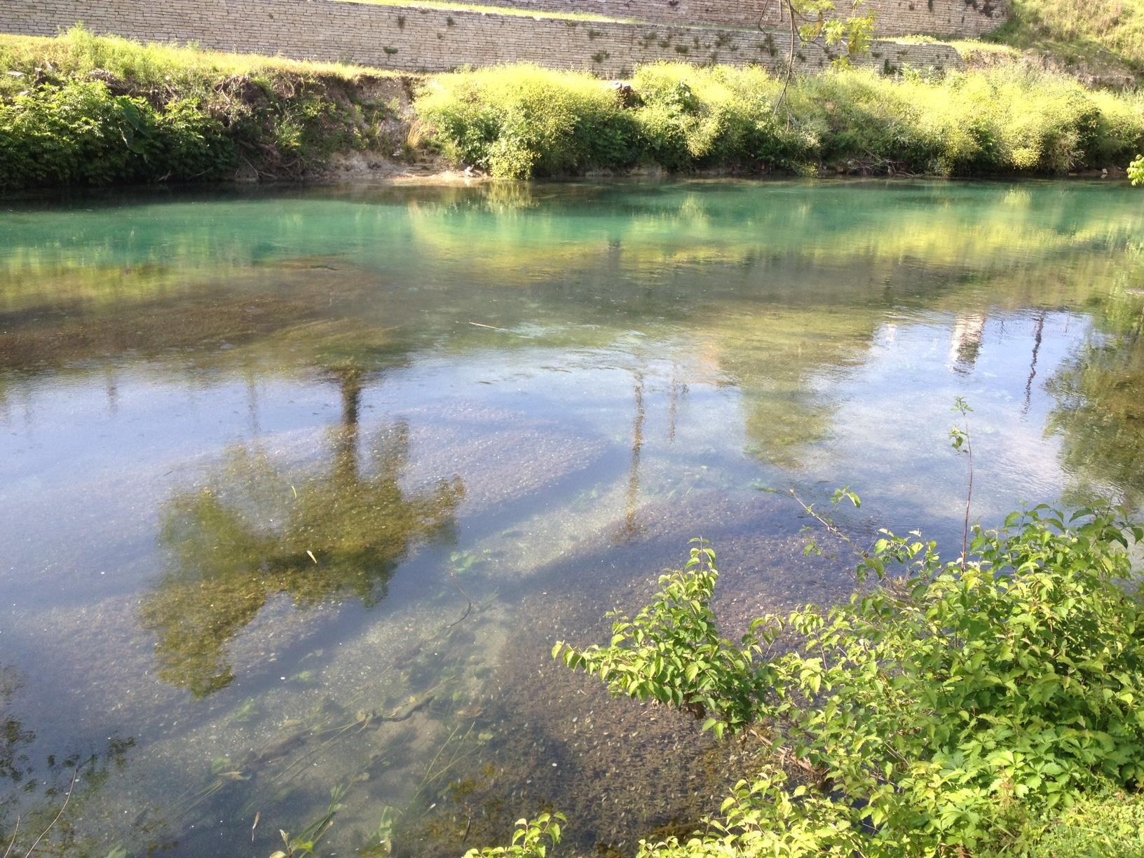 Comal clear