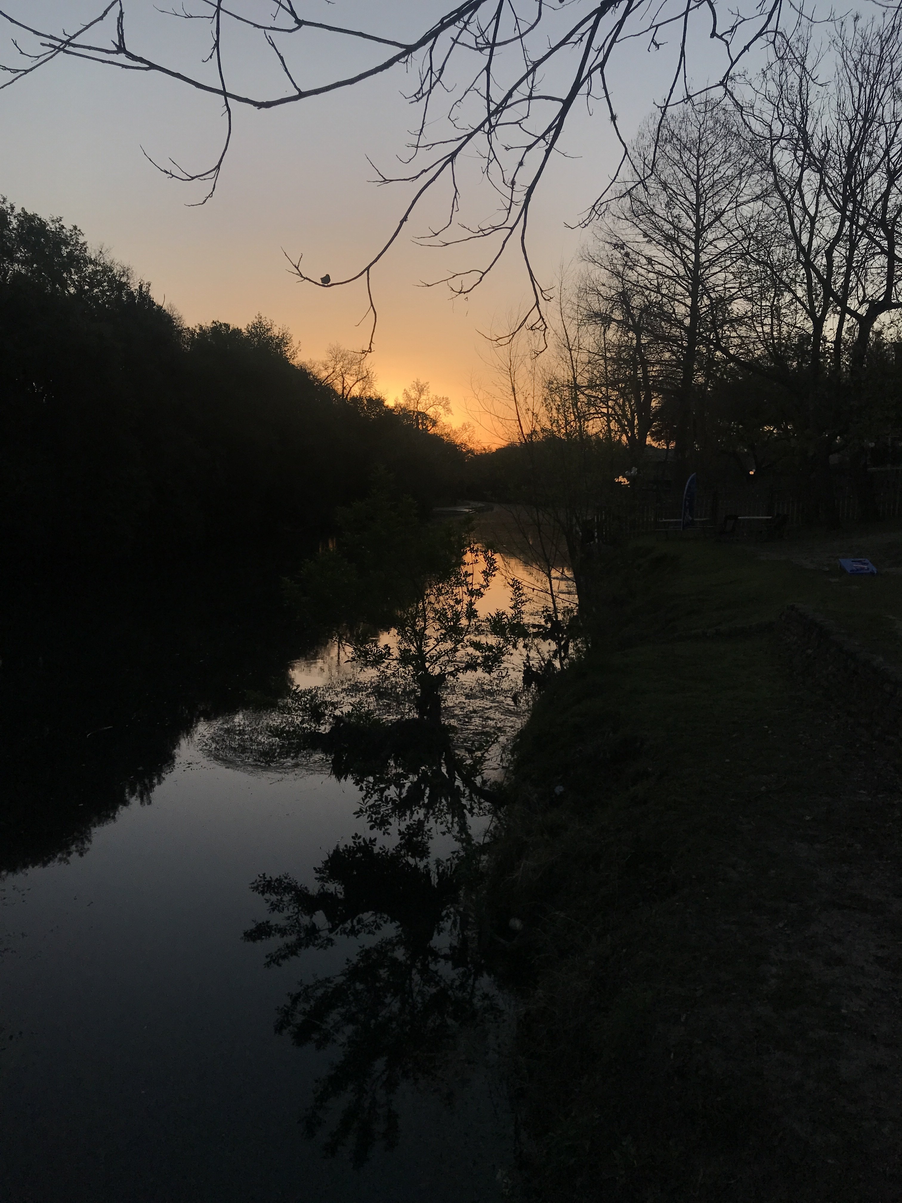 Comal County morning