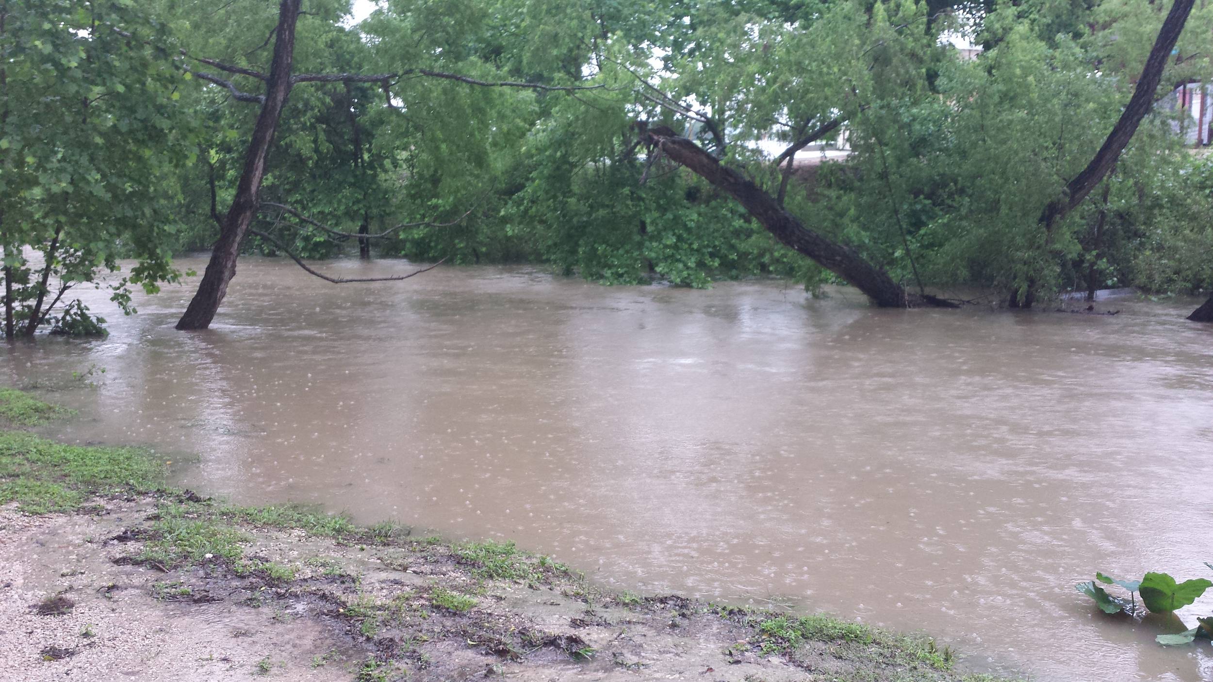 Comal Flood 2015