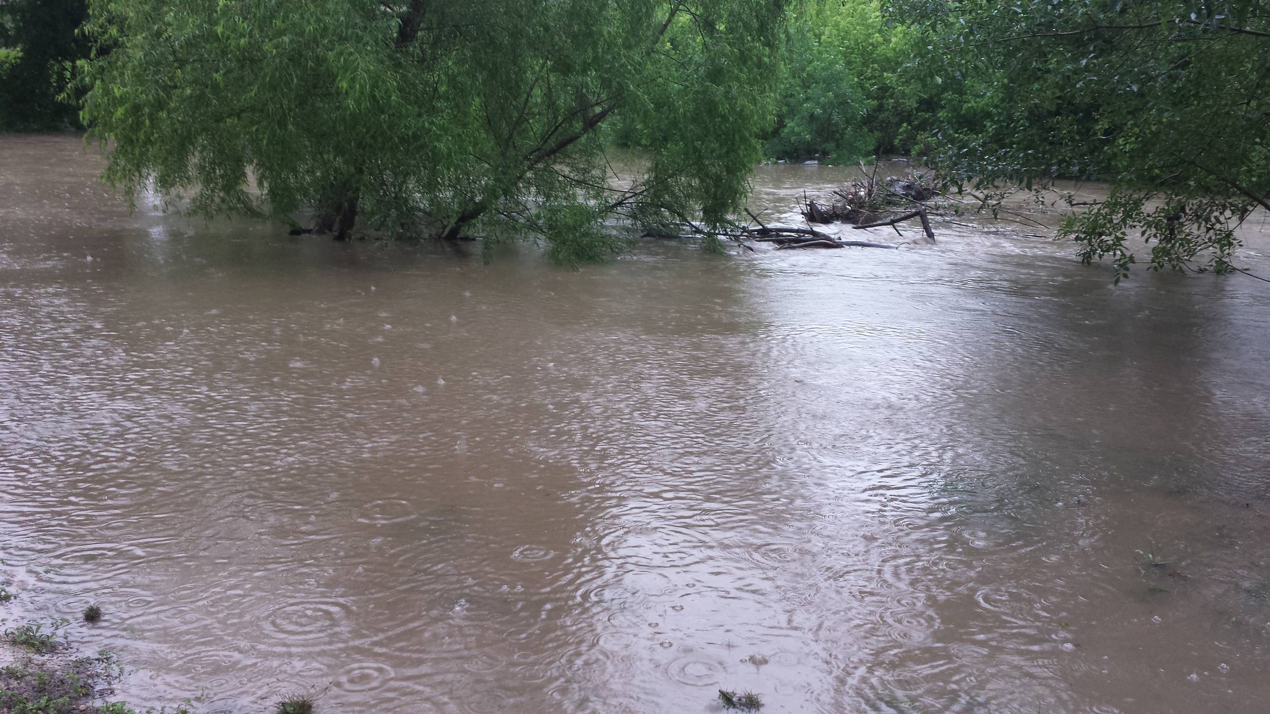 Comal Flood 2015