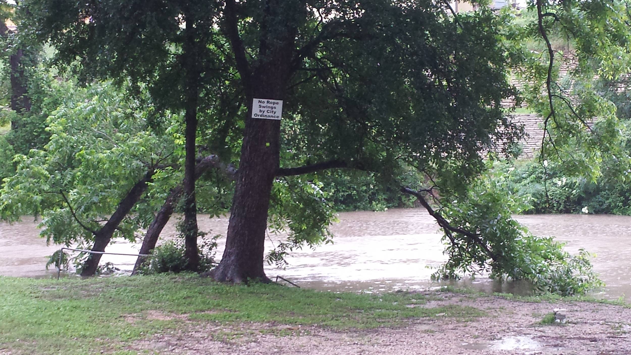 Comal Flood 2015