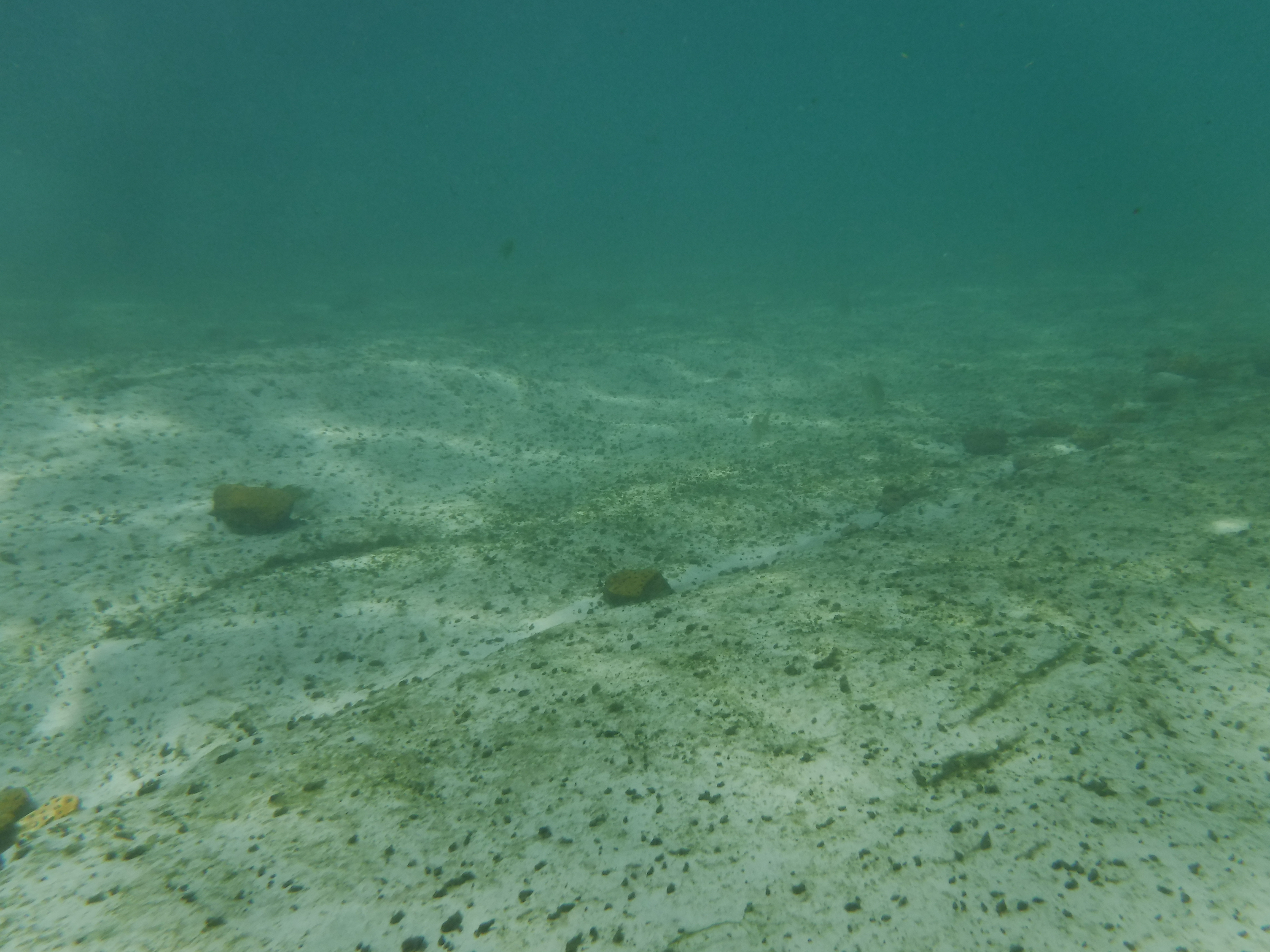 Comal River 01