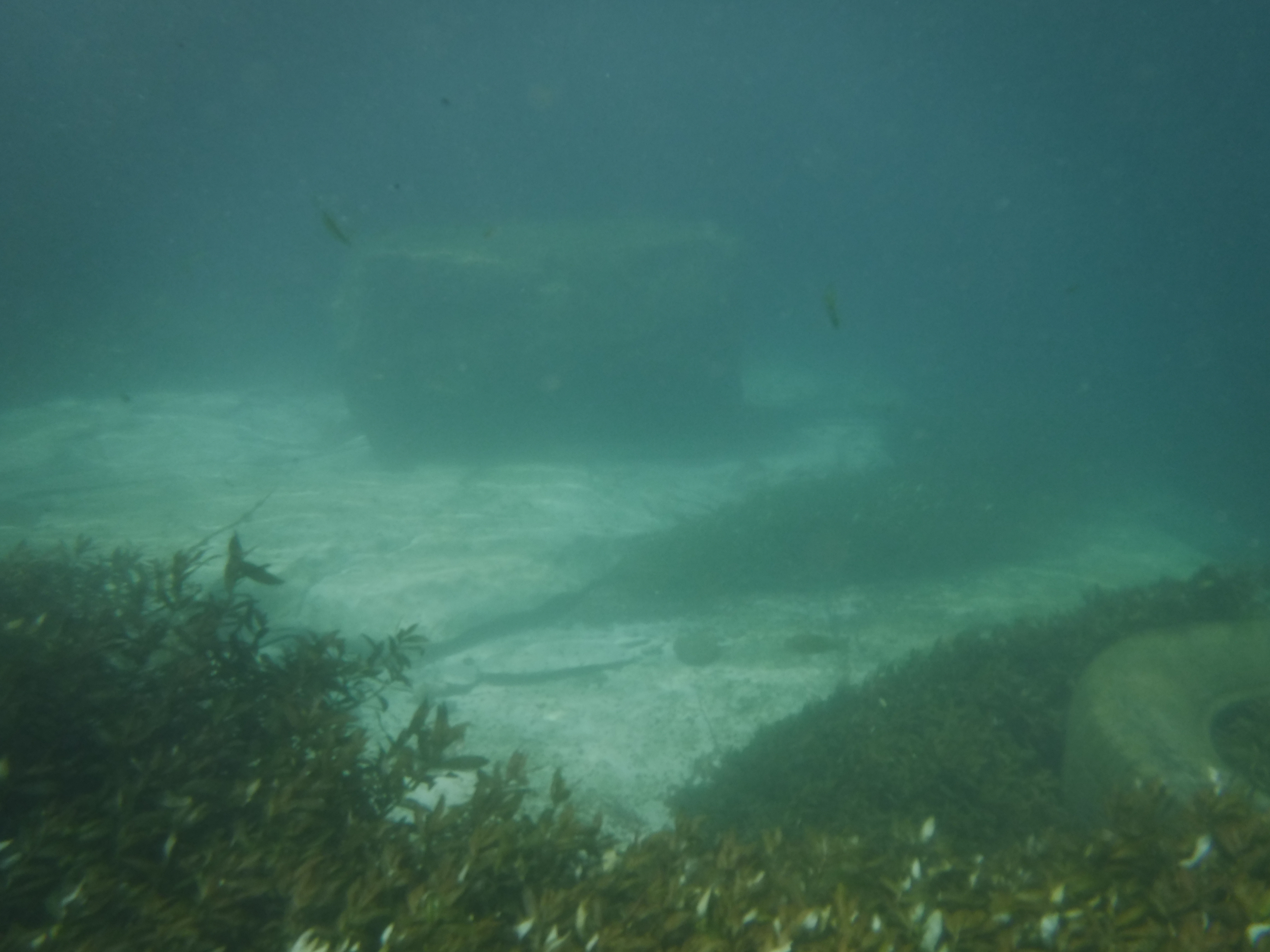 Comal River 02