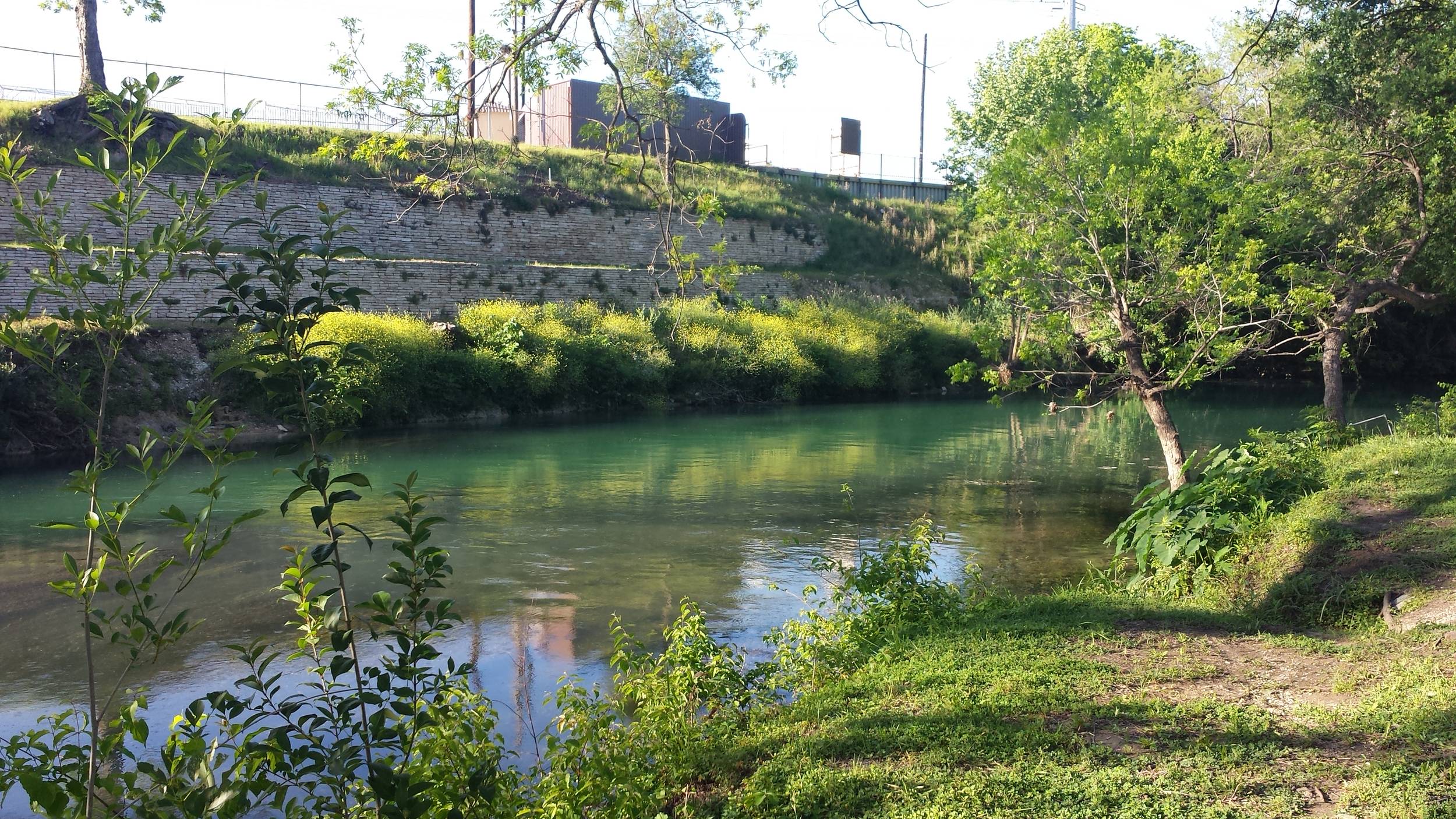 Comal River - nice and clean