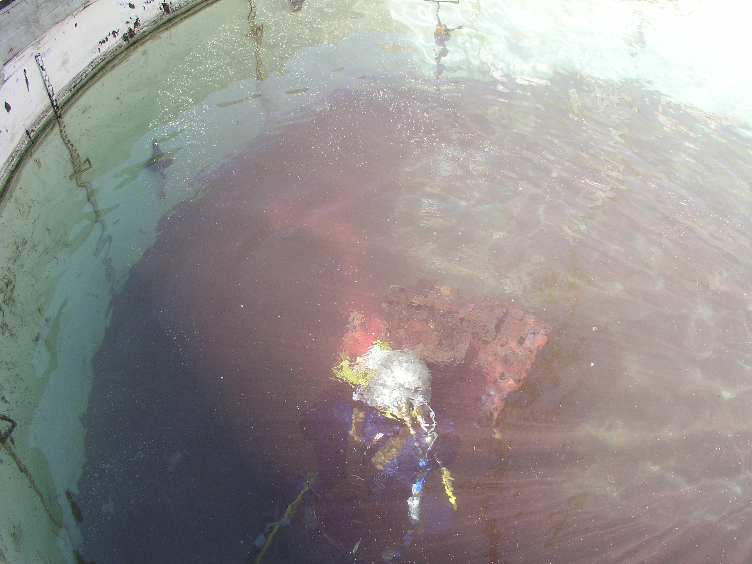 Commercial Diving Experience 2005 reupload